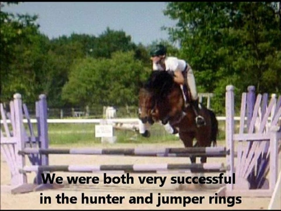Horses - eportfolio