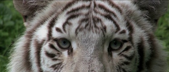 AMB Production - Réalise pour vous !