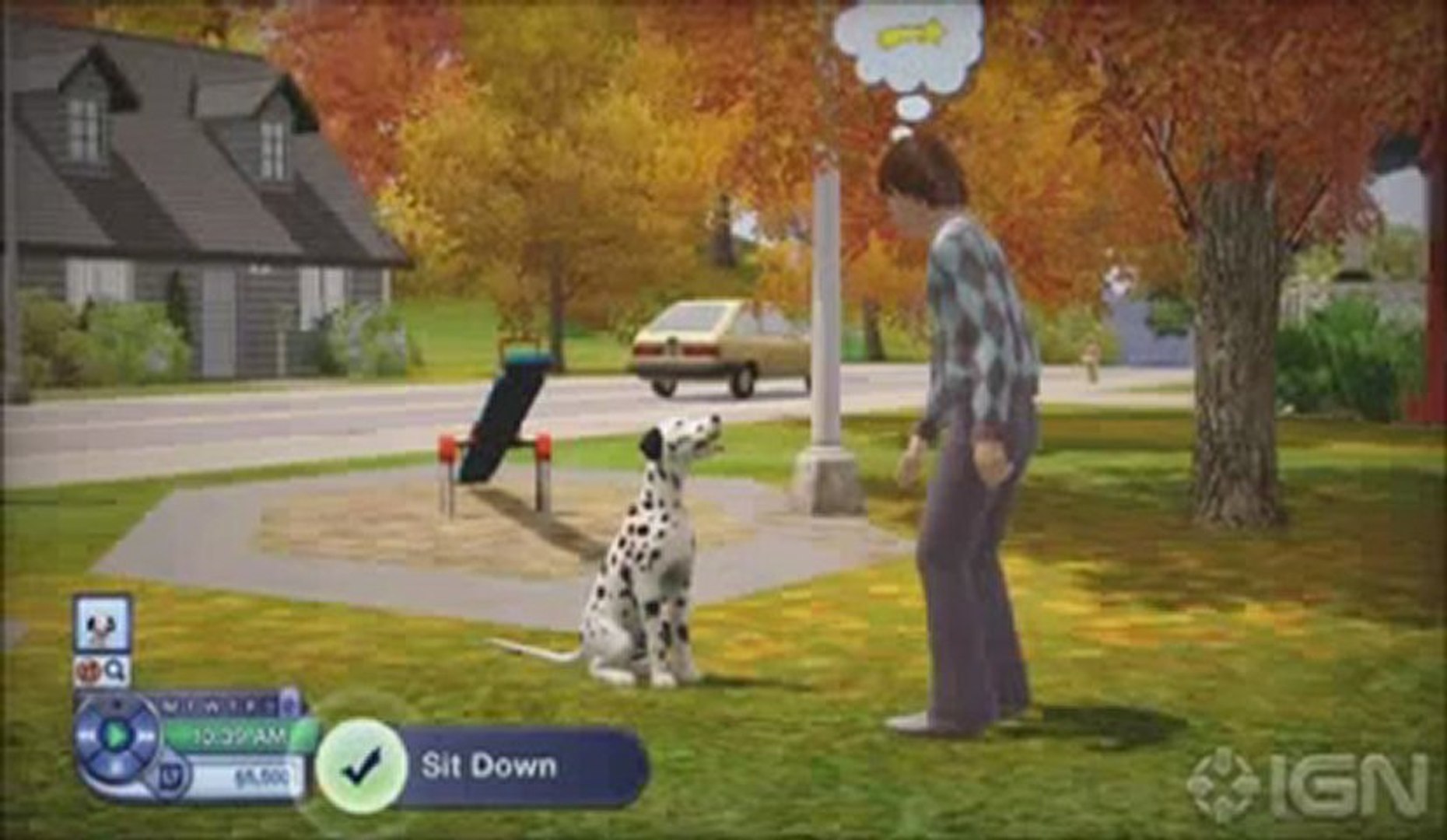 Pets