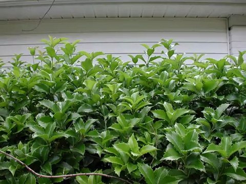 Pressure Washing Charlotte, To Days Work 2/123/2013