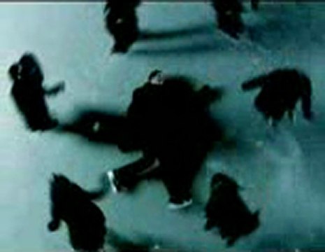 라이브블랙잭 ‥→Ｂ­Ａ­Ｃ­６­６­６­.Ｃ­Ｏ­Ｍ←‥ 라이브블랙잭게임