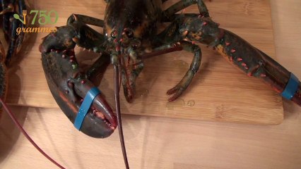 Comment choisir un homard ? - 750 Grammes