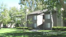 Monterey Pines Apartments in Loma Linda, CA - ForRent.com