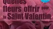 Quelles fleurs offrir pour la saint Valentin ? Séduction amour St Valentin
