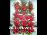 Send Valentine Flowers to Hyderabad @ Just Buy Flowers.com ( Free Delivery )