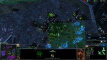 SC2 HD #30 p2/3 2v2 PsY/MyLife v NutBuster/SomeoneElse