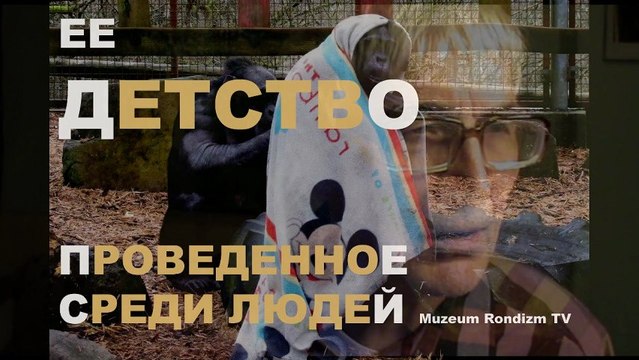 ОБЕЗЬЯНА одевается НАКИДКАМИ * Film Muzeum Rondizm TV