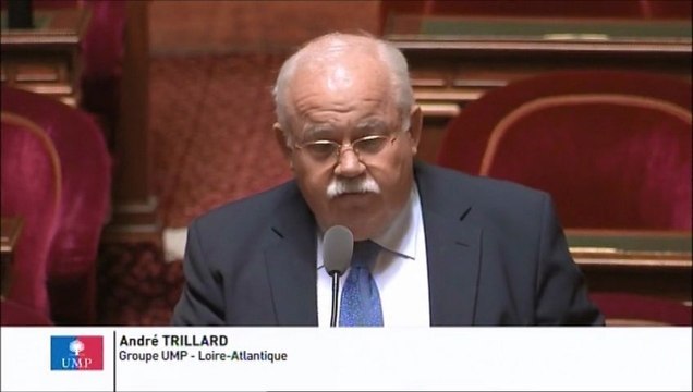 André Trillard, Sénateur de Loire-Atlantique : Reconnaissance du statut d'aidant familiale