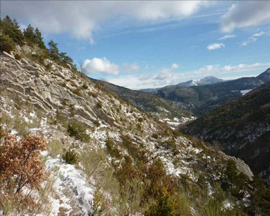 Saint Moirans entre course et marche nordique Diois (26  Drôme)