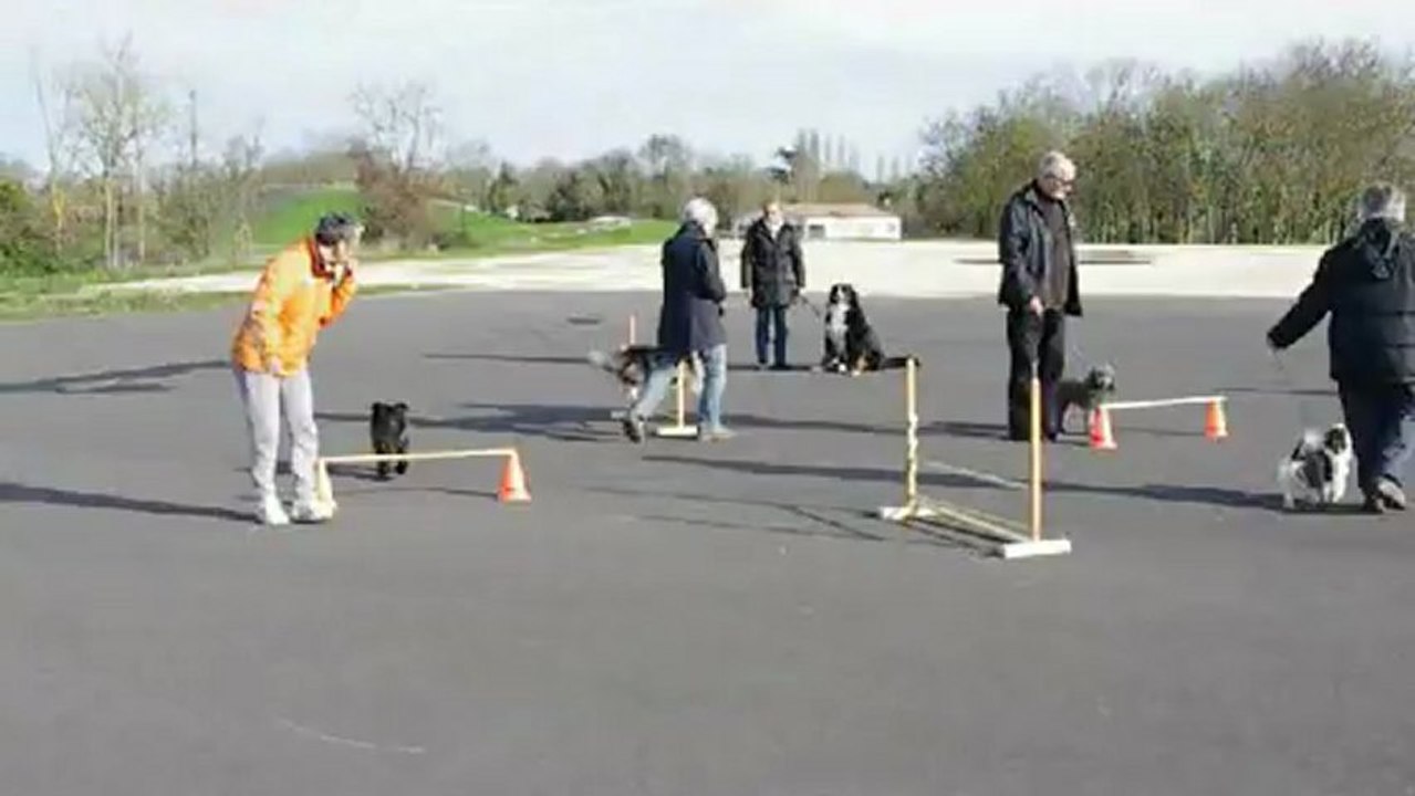 Entrainement au saut