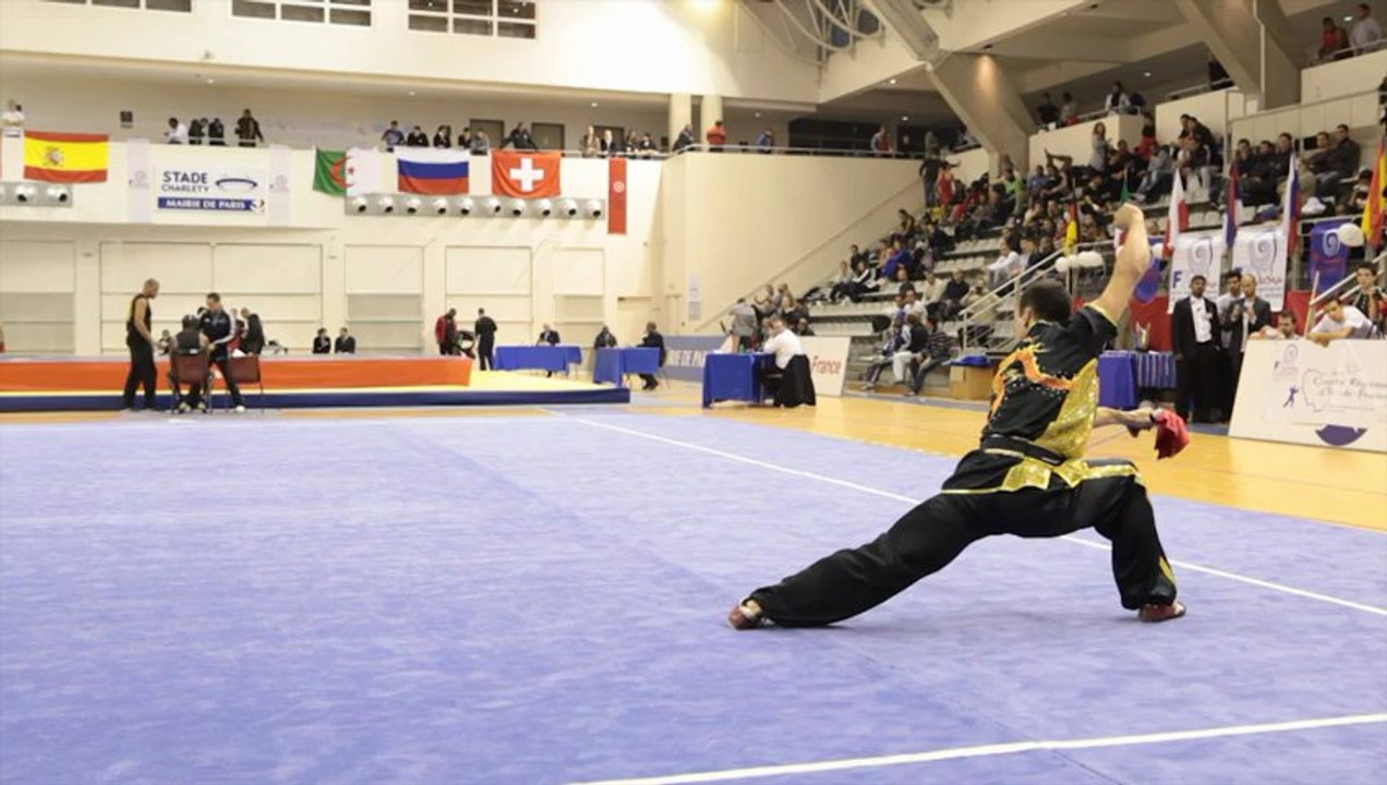 Open de France de Wushu Sportif 2012 / Léo Benouaich - daoshu masculin seniors