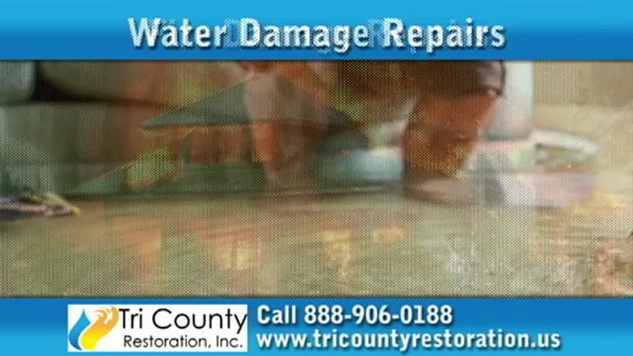 Mold Removal in Delray Beach, FL - Call 888-906-0188