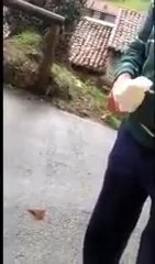 Los dineros del Lobo   Soto de Agues Asturias 19 01 2013