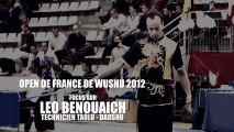 Open de France de Wushu Sportif 2012 - Focus sur Léo Benonuaich, technicien taolu