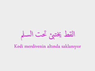 Bir-Kelime Bir-Cümle-12