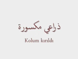 Bir-Kelime Bir-Cümle-20