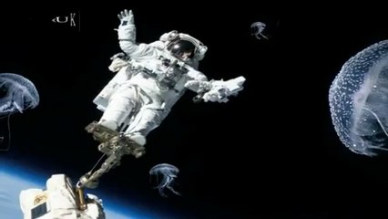 NASA Jellyfish UFOs and Anomolies 2013 1080p HD - YouTube
