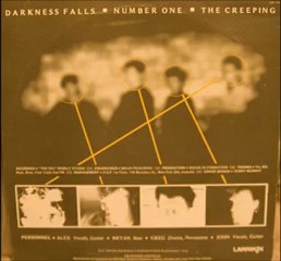Ducks In Formation: Darkness Falls