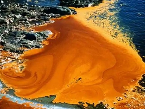 экология и экологические катастрофы