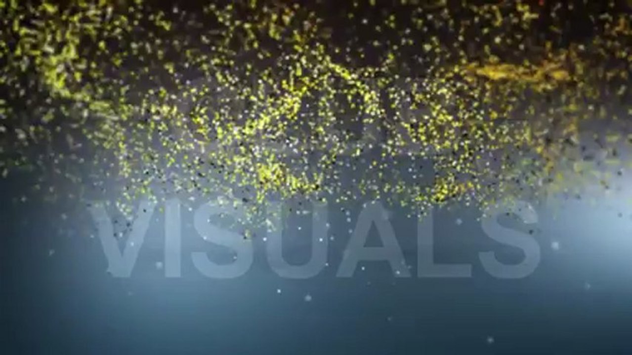 Wonderland Visuals Segue