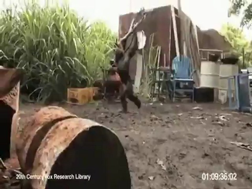 un remake de "Tintin au Congo"