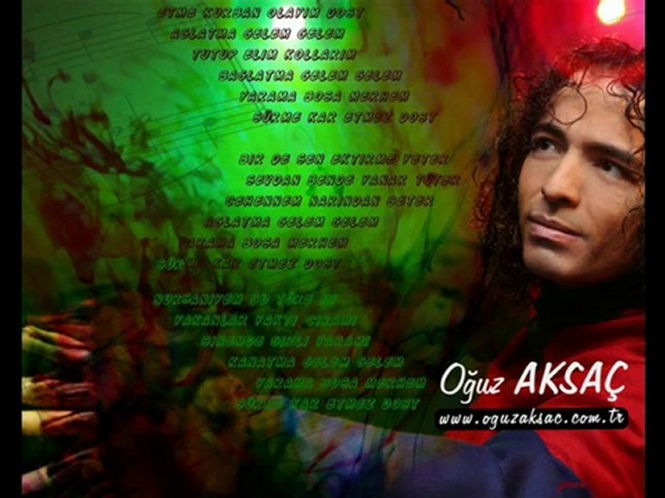 Oğuz AKSAÇ    -  Bir Çift Turna Gördüm