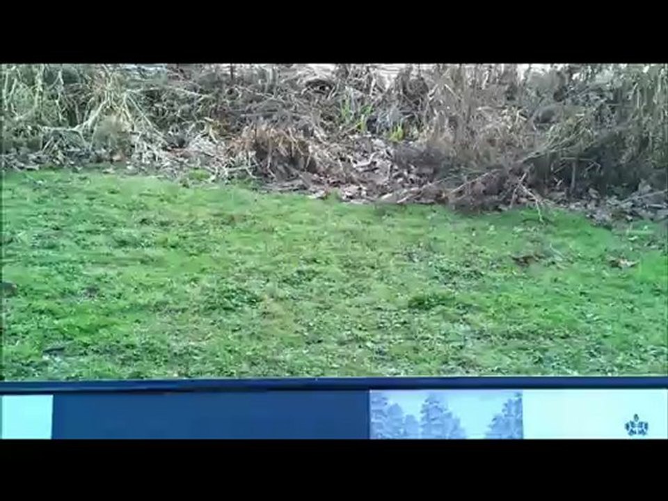 Bank of England Interview