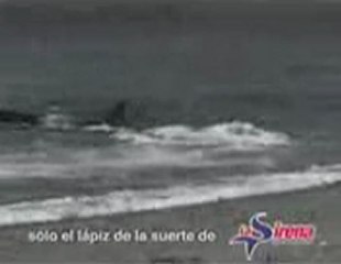 블랙썬카지노♂♂♀♀【GmC421·COM 】♀♀♂♂엠카지노