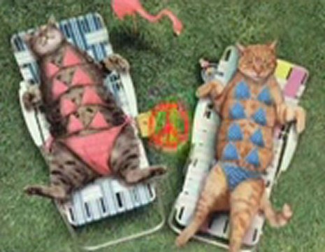 에이플러스카지노♂♂♀♀【GmC421·COM 】♀♀♂♂에이플러스바카라