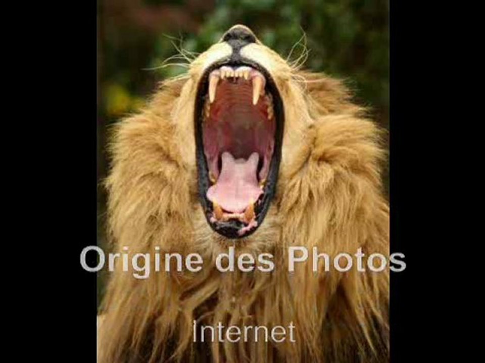 Mangeur  d'homme