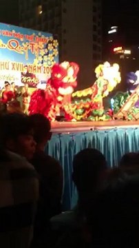 Fêtes du têt 2013 au Vietnam