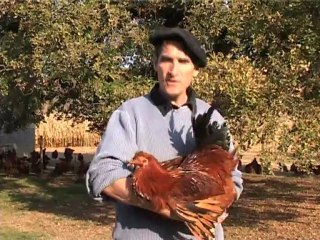 soufflage volailles - intro Nadau