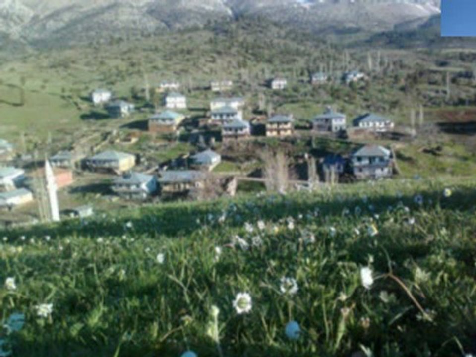 Nedim varol , Tufanbeyli , Adana. (AYVAT KÖYÜ. 2..2013 )