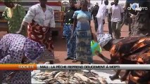Mali : La pêche reprend doucement à Mopti