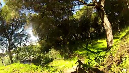 Trilho 4 2013-02-07 Monsanto