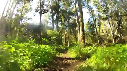 Trilho 5 2013-02-07 Monsanto