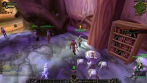 WoW Leveling Guide - X-Elerated Warcraft Guides