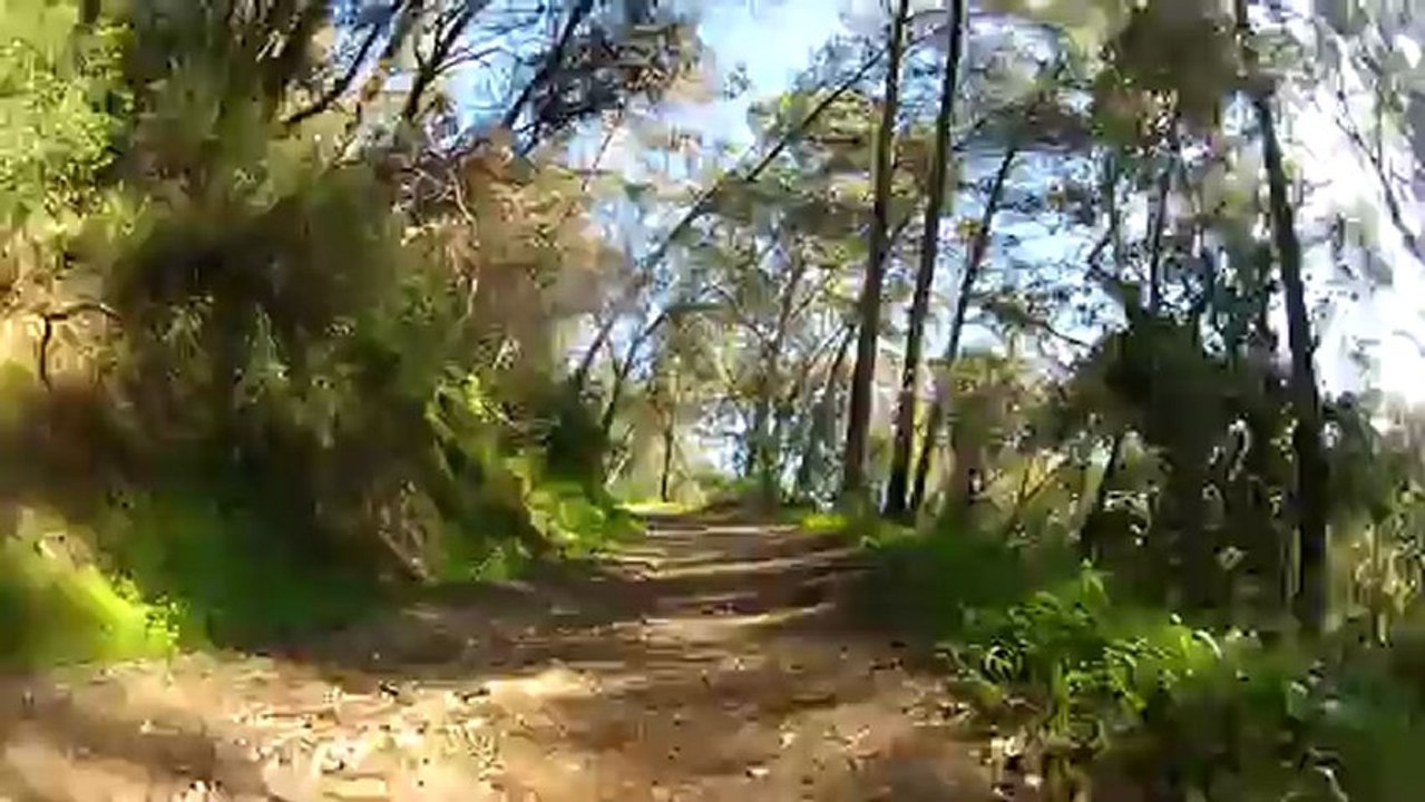 Trilho 11 2013-02-07 Monsanto