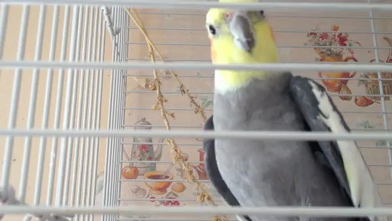 Valentin