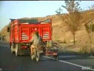 Et un mouton bonno van der putten