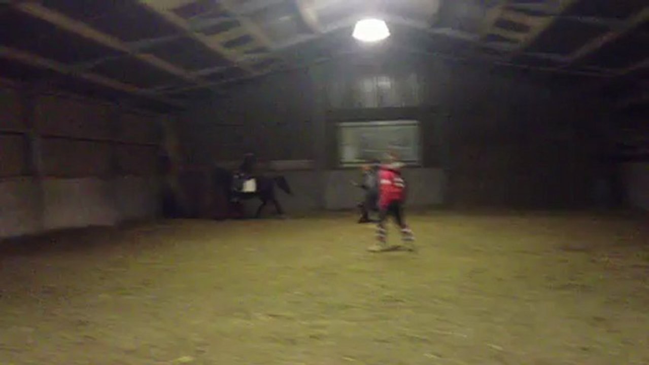 IMG_1197 Première fois en liberté et premier galop ac qlq'un sur elle