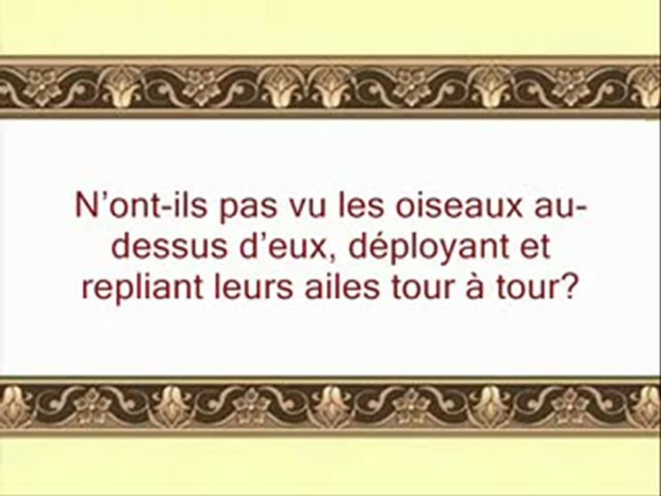 SOURATE AL MULK BY SHURAIM /سورة الملك شريم