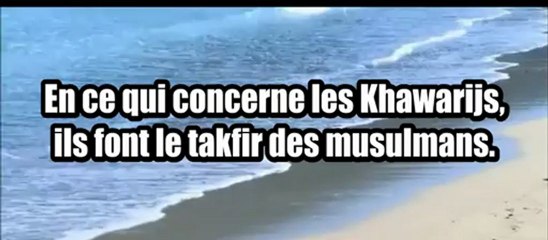Y'a t-il une différence entre révolutionnaire(insurgés) et les Khawarij, Cheikh el Fawzan Fr