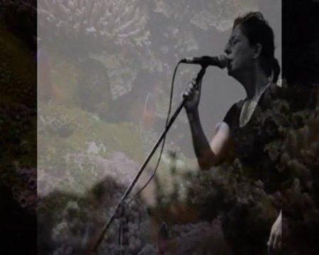 İlkay Akkaya - yaz beni yarim yarim - kolaj Serbülent öztürk