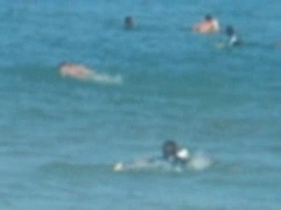Début en surf
