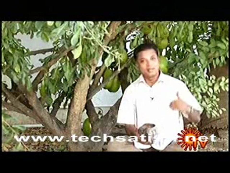 sapthanimidangal