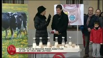 TV3 - Divendres - Propietats nutricionals de la llet amb la Dra. Folch