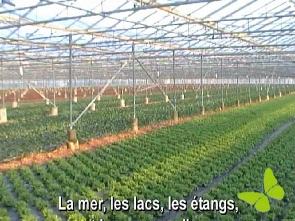 Primeurs Bio avec Michel Serradimigni