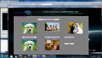 Fast Matrix Embedding By Matrix Extending