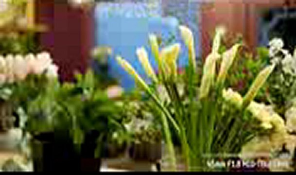 정통카지노◆우리카지노싸이트 ♠ ♣ 헬로카지노 ♥QQD888.COM◆정통카지노